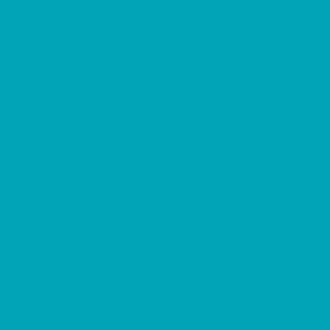 Cernay Pro Turquoise 4752 M